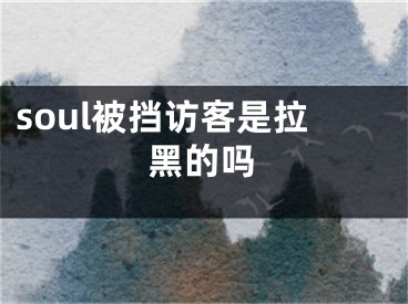 soul被擋訪客是拉黑的嗎