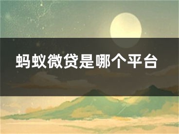 螞蟻微貸是哪個(gè)平臺(tái)