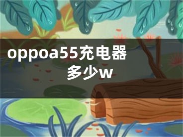 oppoa55充電器多少w