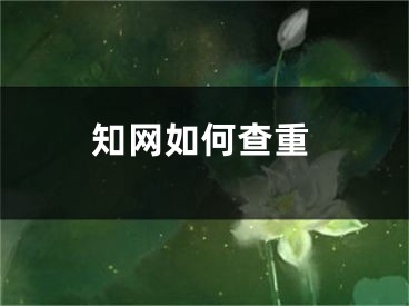 知網(wǎng)如何查重