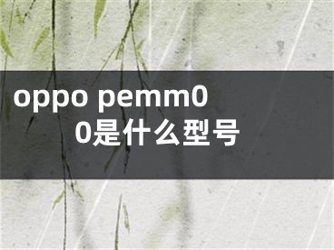 oppo pemm00是什么型號