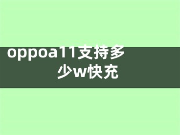 oppoa11支持多少w快充