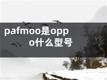 pafmoo是oppo什么型號