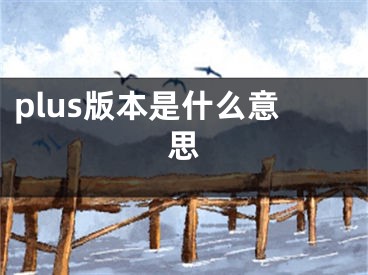 plus版本是什么意思