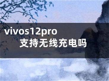 vivos12pro支持無線充電嗎