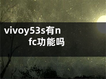 vivoy53s有nfc功能嗎