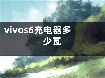 vivos6充電器多少瓦