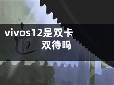 vivos12是雙卡雙待嗎