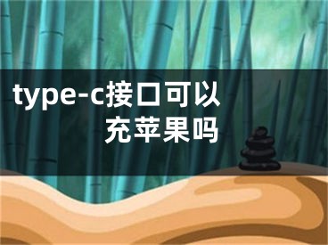 type-c接口可以充蘋果嗎