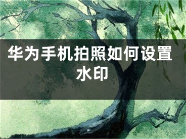 華為手機拍照如何設置水印