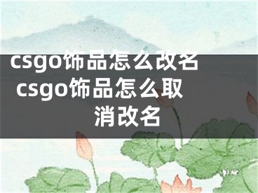 csgo飾品怎么改名 csgo飾品怎么取消改名