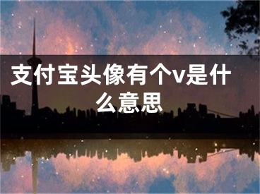 支付寶頭像有個v是什么意思