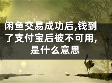 閑魚交易成功后,錢到了支付寶后被不可用,是什么意思