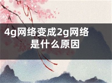 4g網(wǎng)絡(luò)變成2g網(wǎng)絡(luò)是什么原因