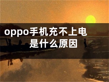 oppo手機充不上電是什么原因