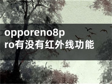 opporeno8pro有沒有紅外線功能