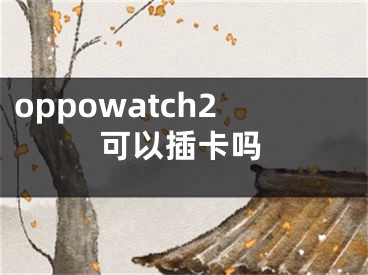 oppowatch2可以插卡嗎