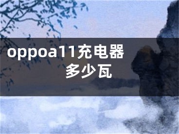 oppoa11充電器多少瓦