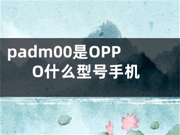 padm00是OPPO什么型號手機