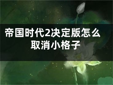 帝國時(shí)代2決定版怎么取消小格子