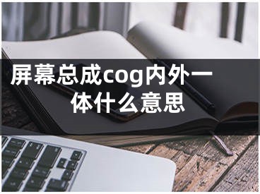 屏幕總成cog內(nèi)外一體什么意思