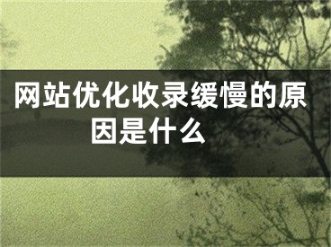 網(wǎng)站優(yōu)化收錄緩慢的原因是什么 