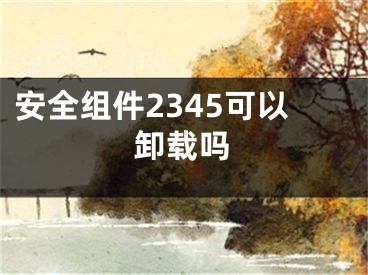 安全組件2345可以卸載嗎