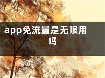 app免流量是無(wú)限用嗎