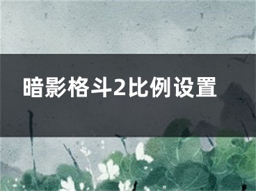 暗影格斗2比例設(shè)置