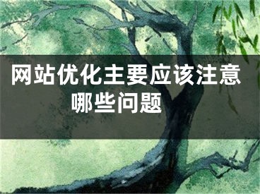 網(wǎng)站優(yōu)化主要應(yīng)該注意哪些問題 