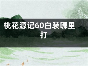 桃花源記60白裝哪里打