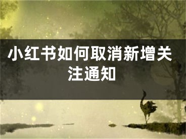 小紅書如何取消新增關(guān)注通知