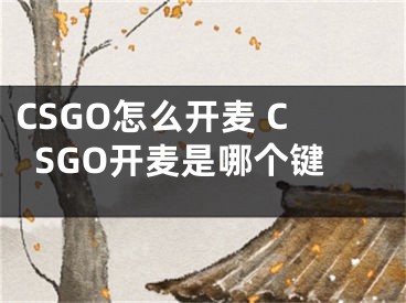 CSGO怎么開麥 CSGO開麥是哪個鍵