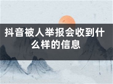 抖音被人舉報會收到什么樣的信息