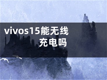 vivos15能無線充電嗎