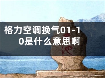 格力空調(diào)換氣01-10是什么意思啊