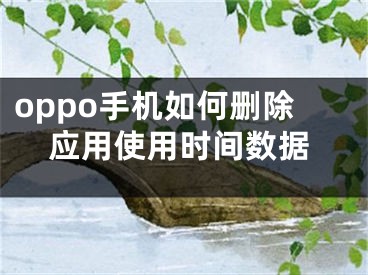 oppo手機如何刪除應(yīng)用使用時間數(shù)據(jù)