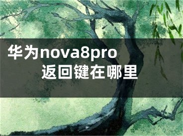 華為nova8pro返回鍵在哪里