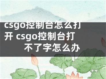 csgo控制臺(tái)怎么打開(kāi) csgo控制臺(tái)打不了字怎么辦