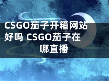 CSGO茄子開箱網(wǎng)站好嗎 CSGO茄子在哪直播