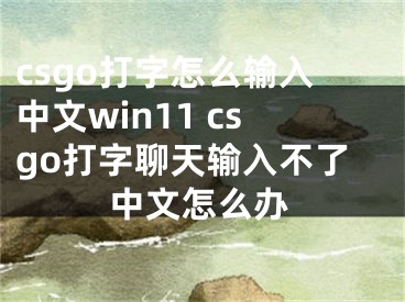 csgo打字怎么輸入中文win11 csgo打字聊天輸入不了中文怎么辦