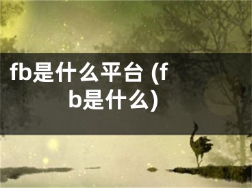 fb是什么平臺(tái) (fb是什么)