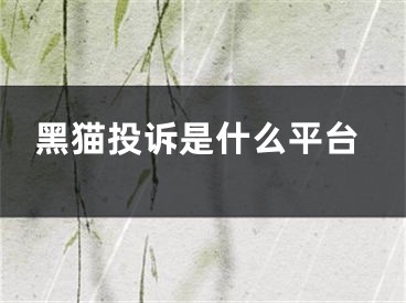 黑貓投訴是什么平臺(tái)