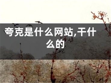 夸克是什么網(wǎng)站,干什么的