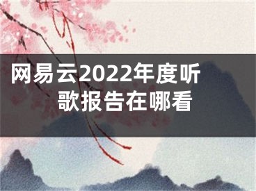 網(wǎng)易云2022年度聽歌報告在哪看