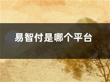 易智付是哪個(gè)平臺(tái)