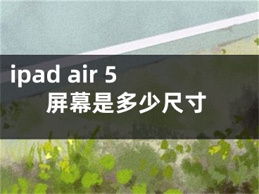 ipad air 5屏幕是多少尺寸