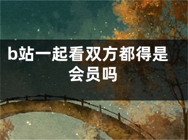 b站一起看雙方都得是會員嗎