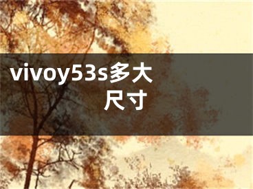 vivoy53s多大尺寸