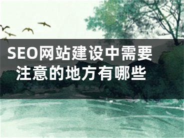 SEO網(wǎng)站建設中需要注意的地方有哪些 